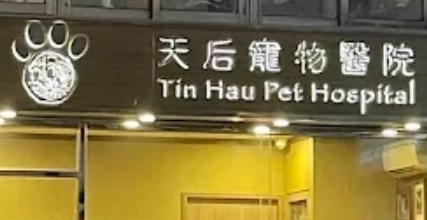 香港獸醫診所推薦: 天后寵物醫院