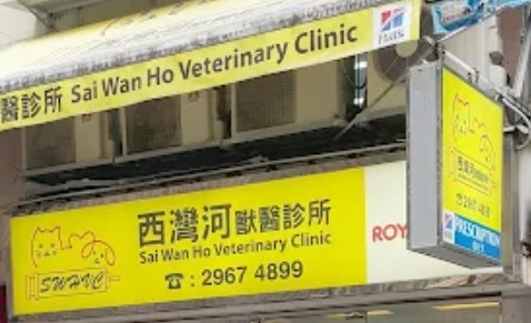 香港獸醫診所推薦: 西灣河獸醫診所
