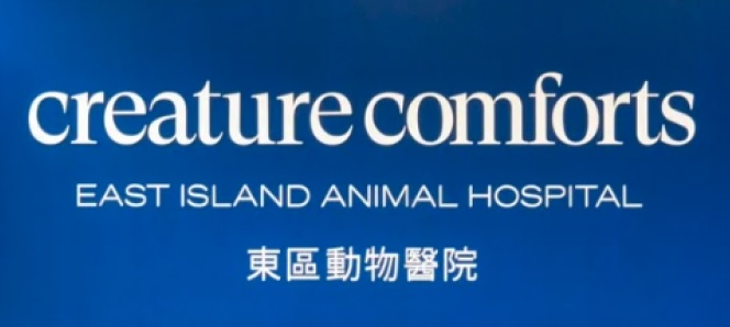 香港獸醫診所推薦: 東區24小時動物醫院