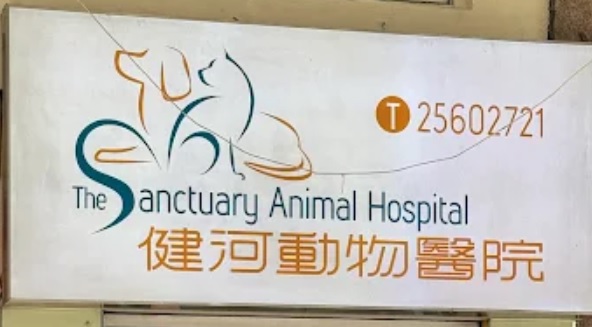 香港獸醫診所推薦: 健河動物醫院