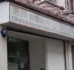香港獸醫診所推薦: 選擇獸醫診所 CHOICE VETERINARTY CLINIC