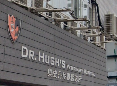 香港獸醫診所推薦: Dr Hugh 梟史丹尼獸醫診所 