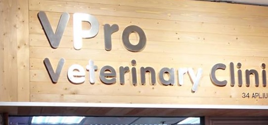 香港兽医诊所推荐: VPro Veterinary Clinic 專寵獸醫診所
