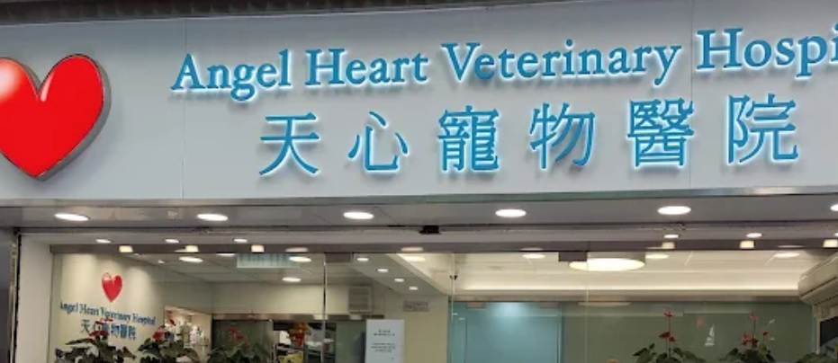 香港兽医诊所推荐: 天心寵物醫院