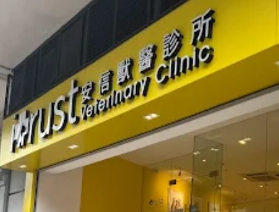香港兽医诊所推荐: 安信獸醫診所