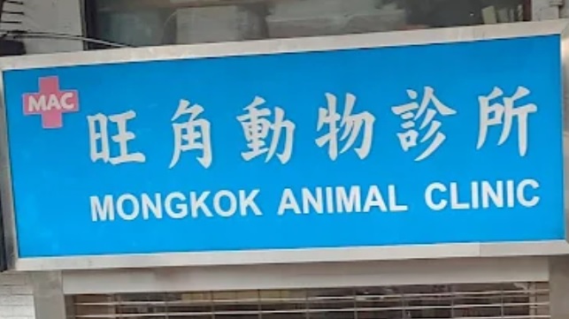 香港兽医诊所推荐: 旺角動物診所