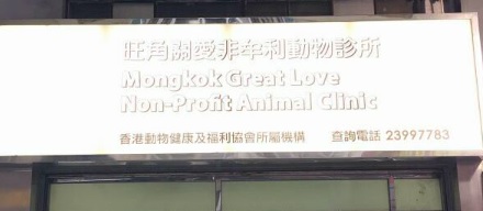 香港兽医诊所推荐: 旺角關愛非牟利動物診所