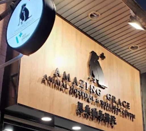 香港兽医诊所推荐: 恩典動物診所