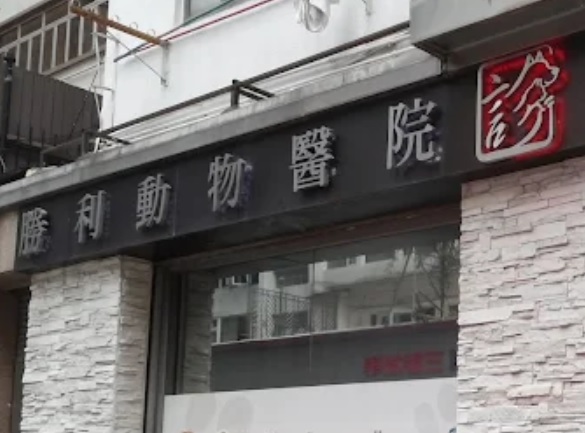香港兽医诊所推荐: Victory Animal Hospital 勝利動物醫院