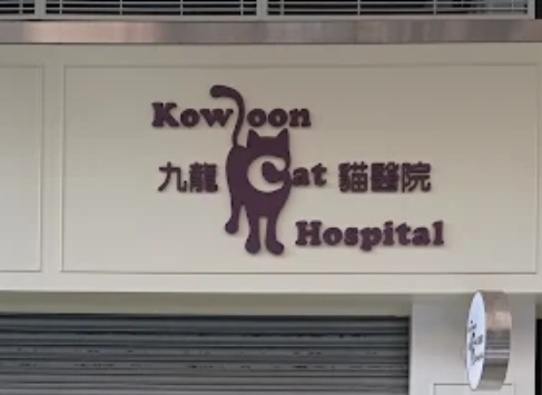 推介: 九龍貓醫院 KOWLOON CAT HOSPITAL