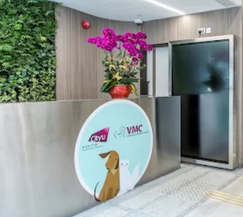 推介: CityU VMC 城大動物醫療中心 (24 小時)