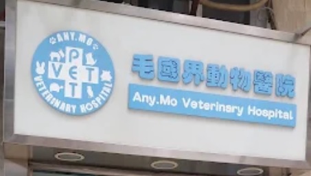 推介: 毛國界動物醫院