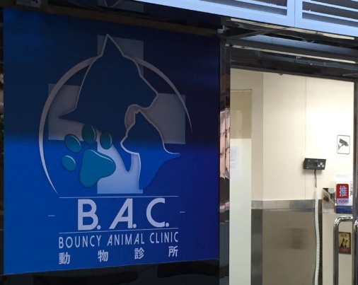 推介: BOUNCY ANIMAL CLINIC