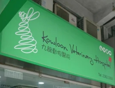 推介: 九龍動物醫院 KOWLOON VETERINARY HOSPITAL