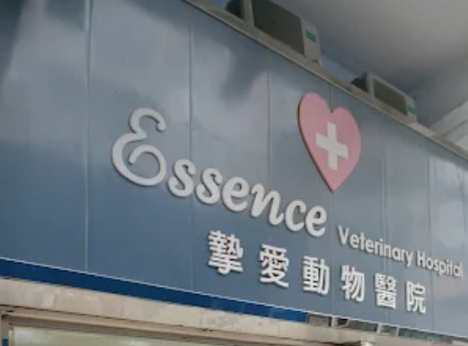 推介: 摯愛動物醫院