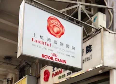 推介: 土瓜灣動物醫院