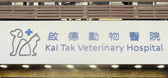 推介: 啟德動物醫院