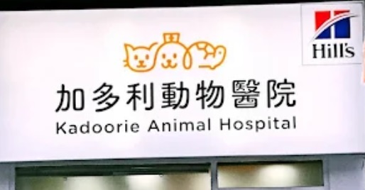 推介: 加多利動物醫院