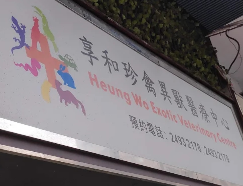 推介: 享和珍禽異獸醫療中心