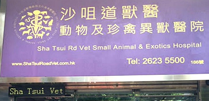 推介: 沙咀道獸醫動物及珍禽異獸醫院