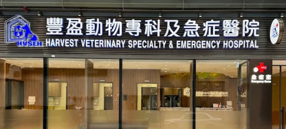 推介: HVSEH 豐盈動物專科及急症醫院