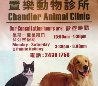 推介: 置樂動物診所