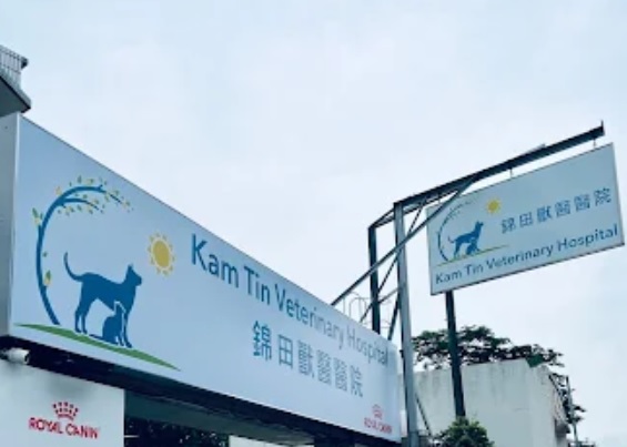 推介: 錦田動物醫院