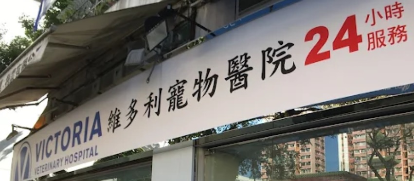 推介: 維多利24小時寵物醫院