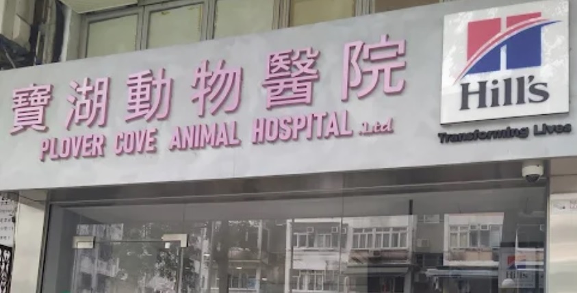 推介: 寶湖動物醫院