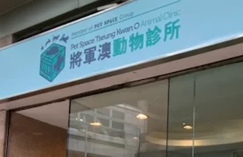 推介: 將軍澳獸醫醫院