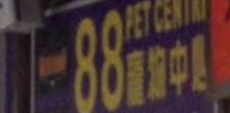 推介: 88寵物美容中心