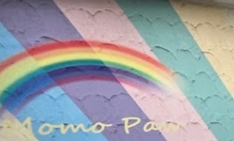 推介: Momo Paw