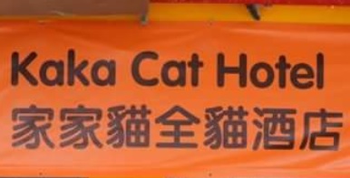 推介: 家家貓全貓酒店 Kaka Cat Hotel