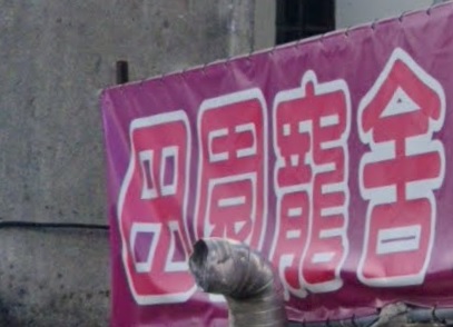 推介: 田園寵舍 Pet Pet Grooming