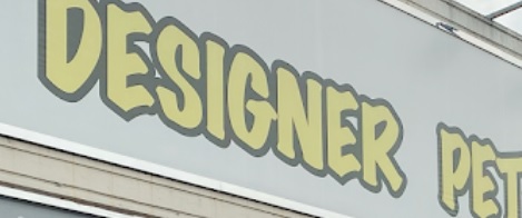 推介: Designer Pet