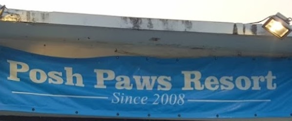 推介: Posh Paws Resort 元朗狗酒店