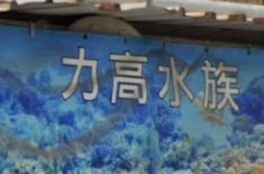 推介: 大棠力高水族