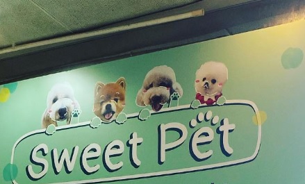 高人氣優質寵物店: 甜寵兒  Sweet Pet Workshop