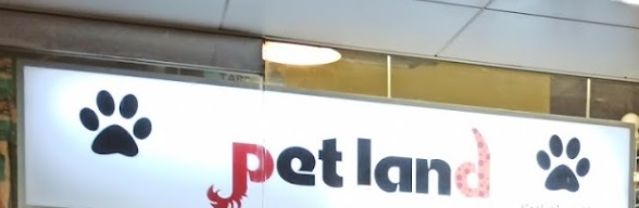 推介: Pet Land Grooming Parlor
