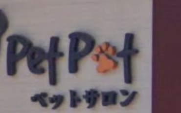 推介: Smile Pet Pet