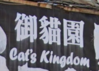 推介: 御貓園 Cat's Kingdom