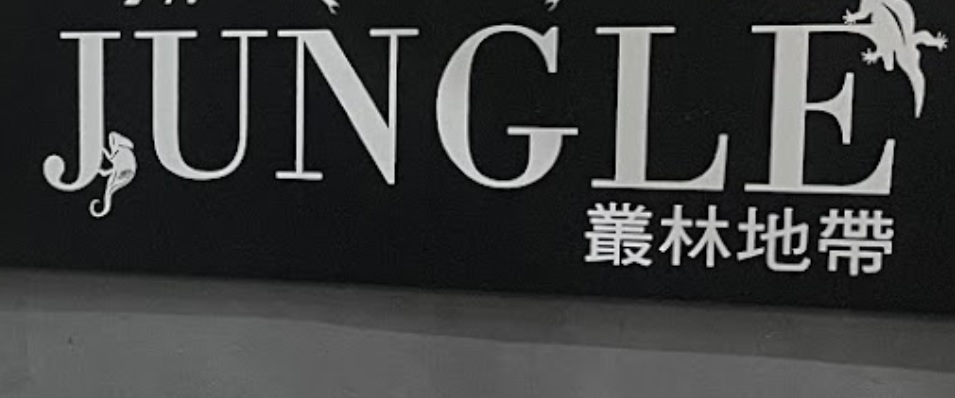 推介: 叢林地帶Jungle