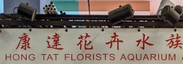 推介: 康達花卉水族工程