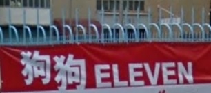 推介: 狗狗eleven爬蟲水族
