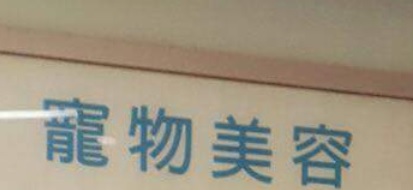 推介: 寵物浴場