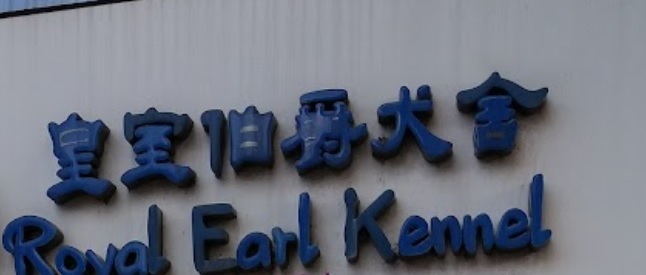 推介: 皇室伯爵犬舍 Royal Earl Kennel