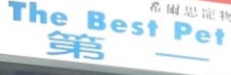 推介: 第一寵物用品 The Best Pet Products