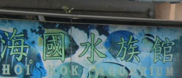 推介: 海國水族館