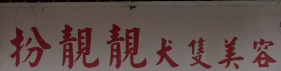 推介: 扮靚靚犬隻美容