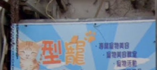 推介: 型寵俱樂部 Smart PetClub